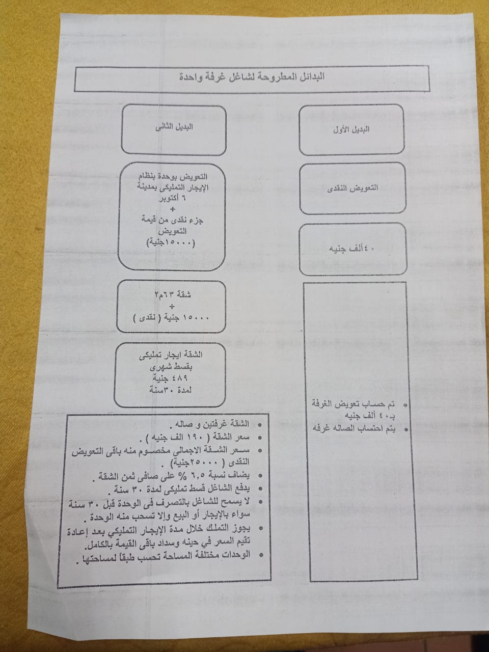 A compensation form distributed by Giza governorate to owners and tenants on the Tersa Axis (Al-Youm al-Sabe')